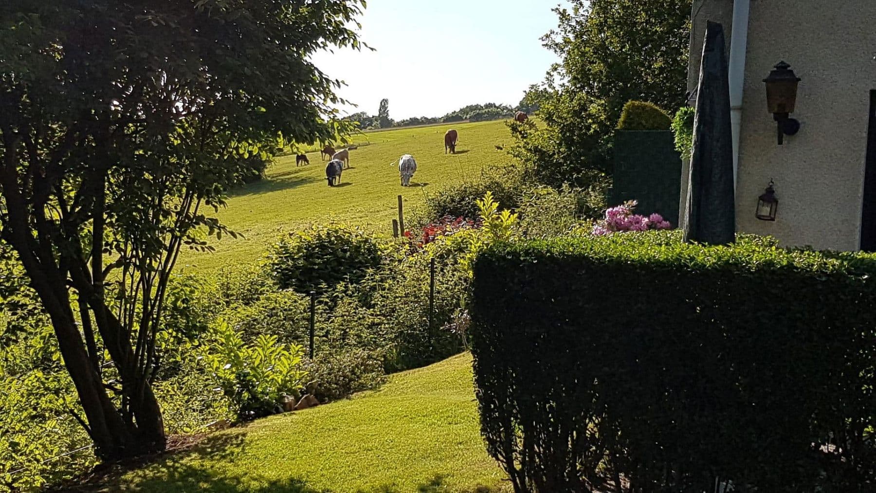 Predaj domu 228 m², pozemek 1.058 m², Solingen, Severné Porýnie - Westfálsko Predaj domu 228 m², pozemek 1.058 m², Solingen, Severné Porýnie - Westfálsko