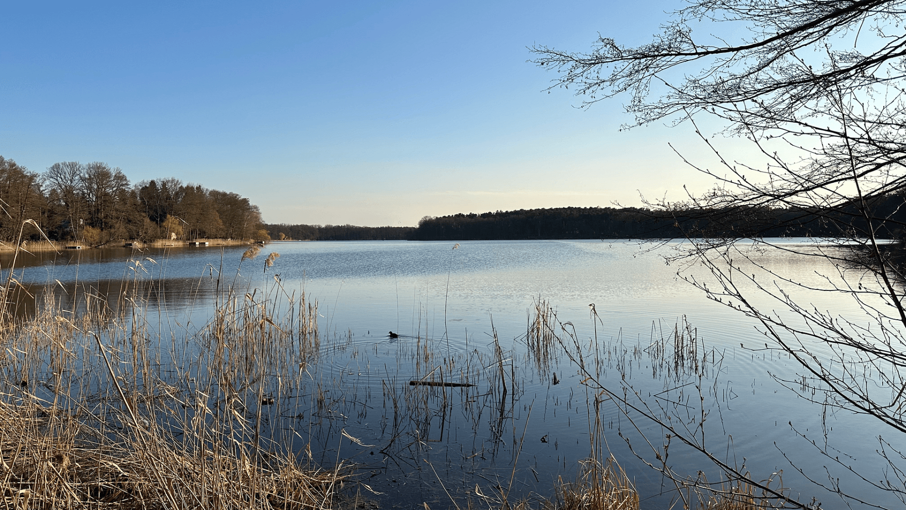 Prenájom bytu 3-izbový 141 m², Potsdamer Chaussee 11, Ludwigsfelde, Brandenbursko Prenájom bytu 3-izbový 141 m², Potsdamer Chaussee 11, Ludwigsfelde, Brandenbursko