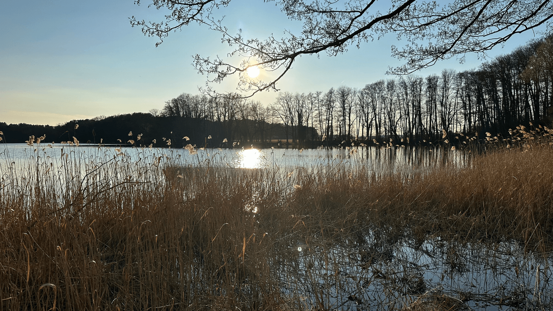 Prenájom bytu 3-izbový 141 m², Potsdamer Chaussee 11, Ludwigsfelde, Brandenbursko Prenájom bytu 3-izbový 141 m², Potsdamer Chaussee 11, Ludwigsfelde, Brandenbursko