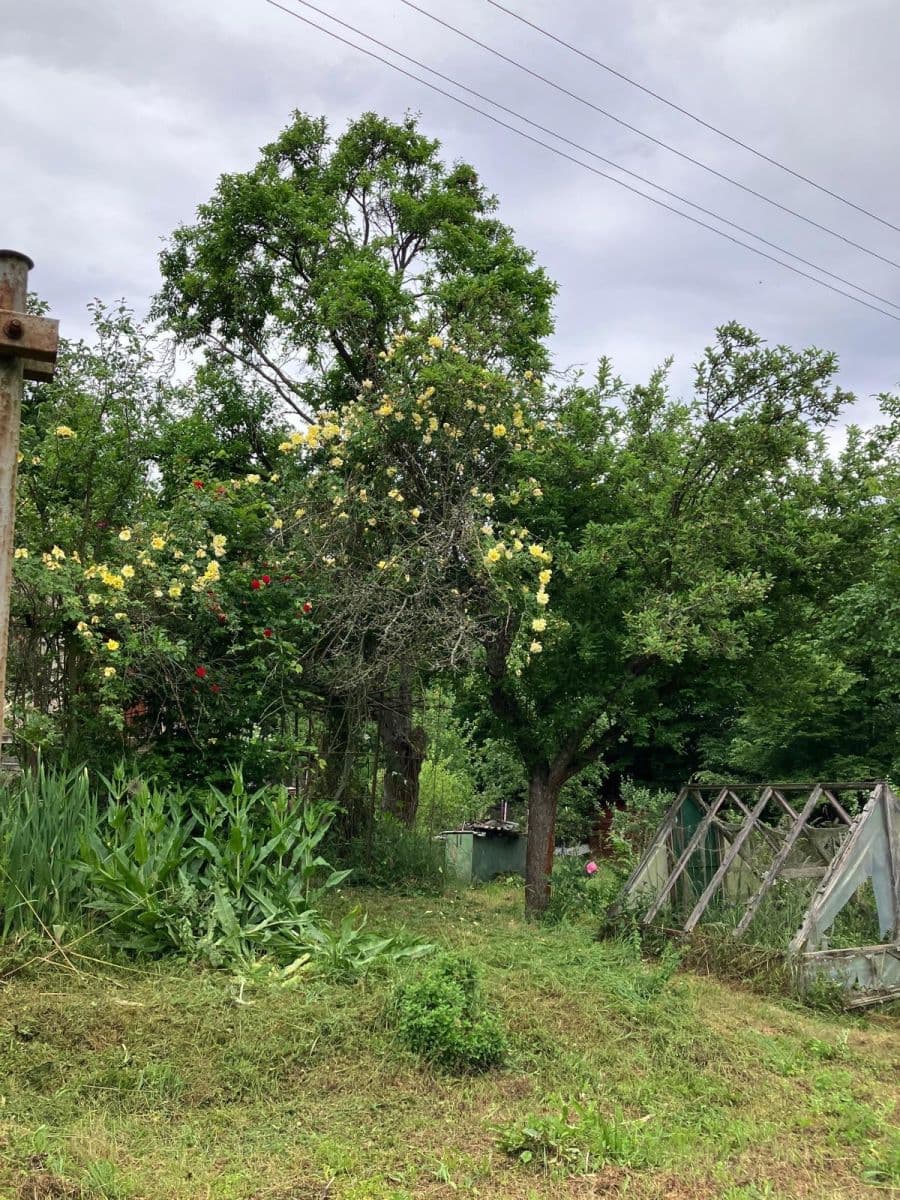 Predaj rekreačného objektu 28 m², pozemek 583 m², Brno, Jihomoravský kraj Predaj rekreačného objektu 28 m², pozemek 583 m², Brno, Jihomoravský kraj