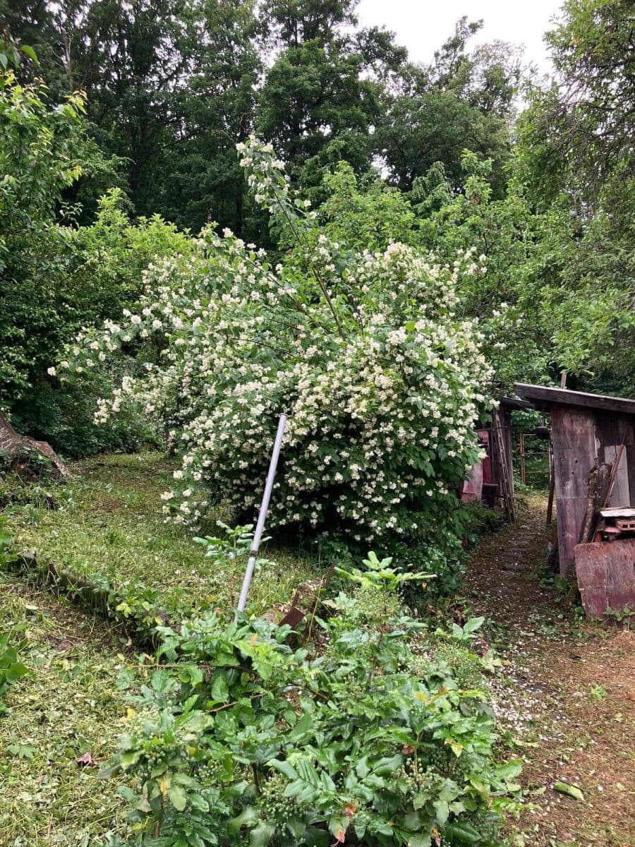 Predaj rekreačného objektu 28 m², pozemek 583 m², Brno, Jihomoravský kraj Predaj rekreačného objektu 28 m², pozemek 583 m², Brno, Jihomoravský kraj