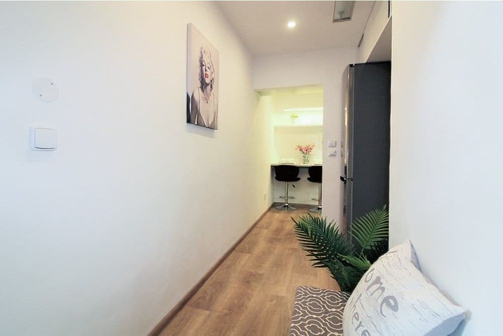 Prenájom bytu 1-izbový 48 m², Vítkova, Praha, Praha Prenájom bytu 1-izbový 48 m², Vítkova, Praha, Praha