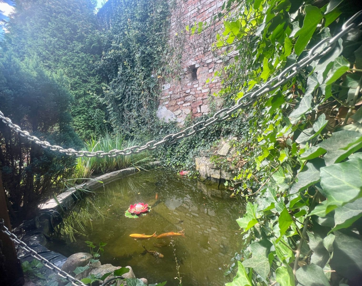 Predaj domu 306 m², pozemek 1.044 m², Očihov, Ústecký kraj Predaj domu 306 m², pozemek 1.044 m², Očihov, Ústecký kraj