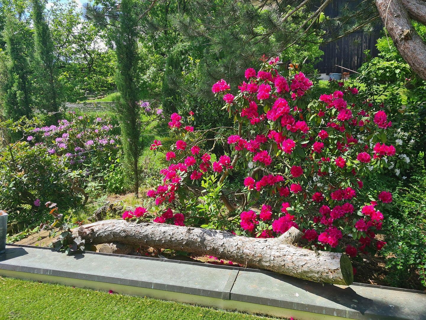 Predaj domu 290 m², pozemek 2.900 m², Pfarrkirchen, Bavorsko Predaj domu 290 m², pozemek 2.900 m², Pfarrkirchen, Bavorsko