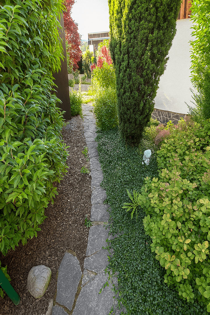 Predaj domu 197 m², pozemek 391 m², Bammental, Bádensko-Wurttembersko Predaj domu 197 m², pozemek 391 m², Bammental, Bádensko-Wurttembersko