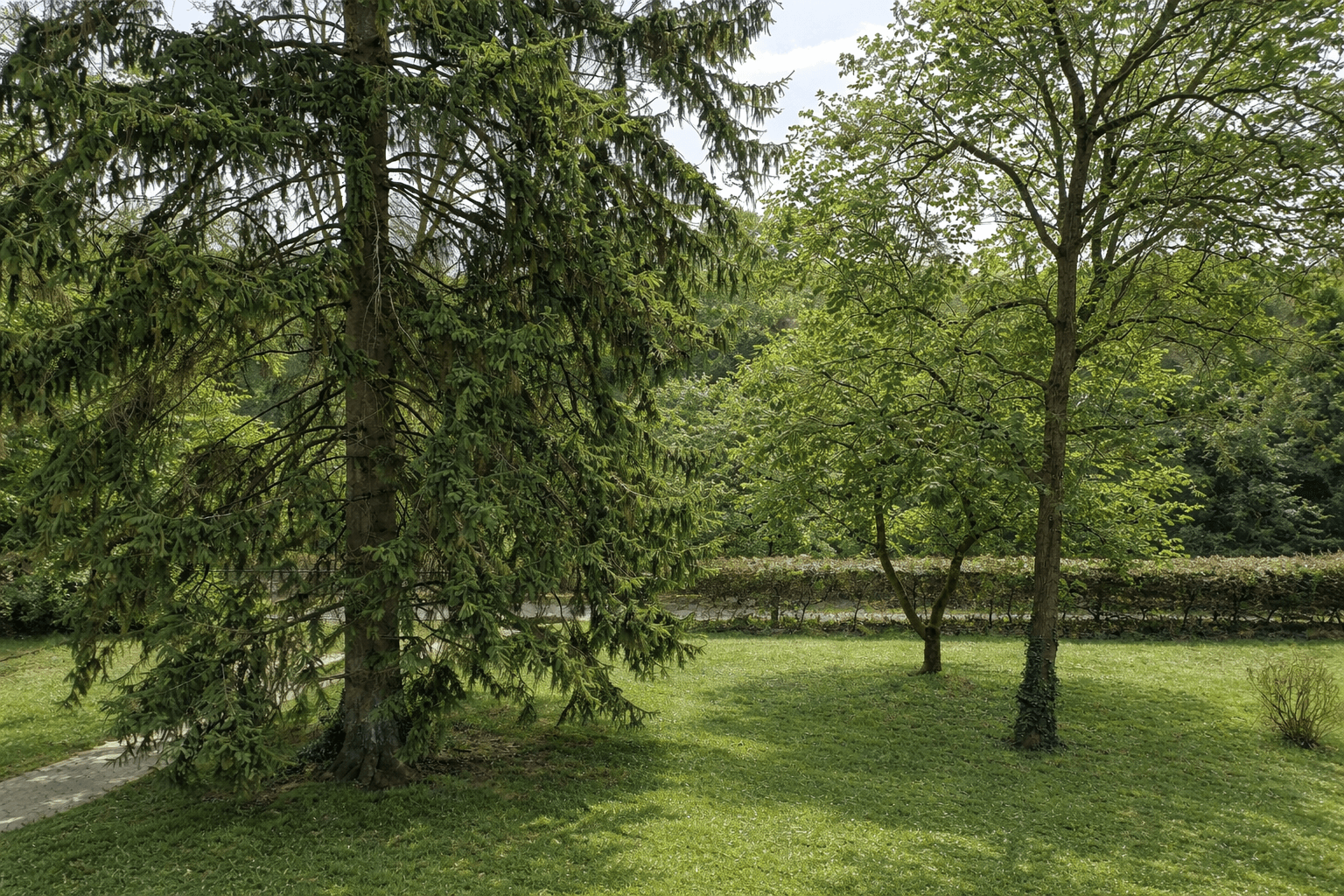 Predaj bytu 2-izbový 80 m², Sonnenberger Str. 73, Wiesbaden, Hesensko Predaj bytu 2-izbový 80 m², Sonnenberger Str. 73, Wiesbaden, Hesensko