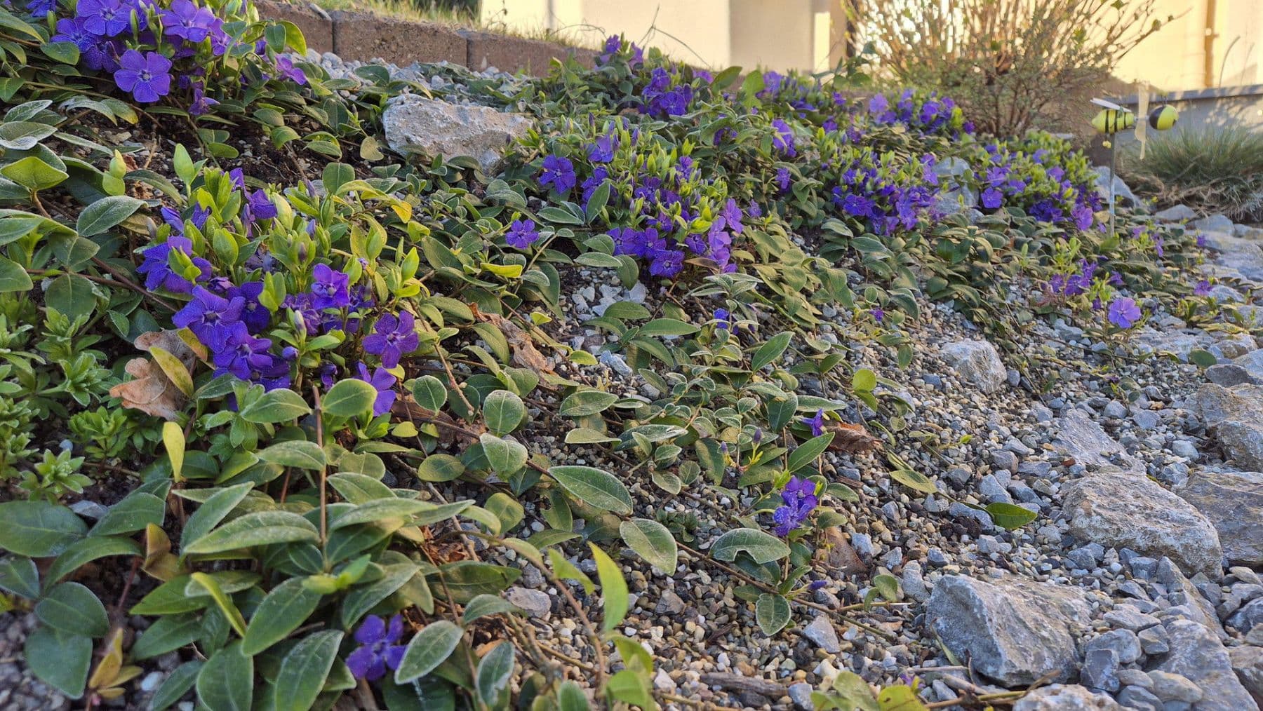 Predaj domu 153 m², pozemek 292 m², Wertheim, Bádensko-Wurttembersko Predaj domu 153 m², pozemek 292 m², Wertheim, Bádensko-Wurttembersko