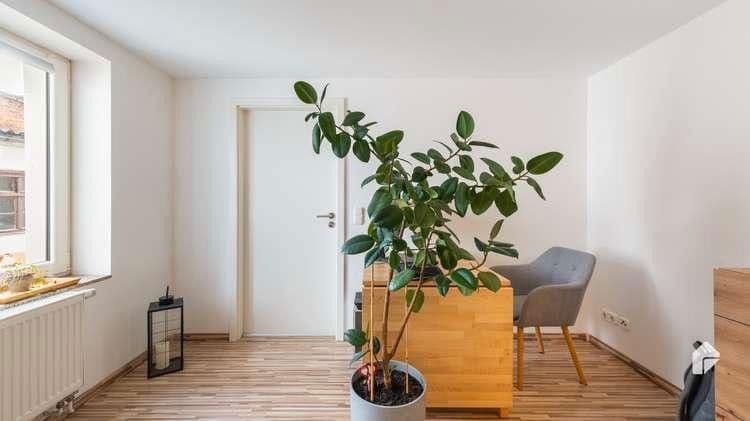 Prenájom bytu 4-izbový 127 m², Bad Belzig, Brandenbursko Prenájom bytu 4-izbový 127 m², Bad Belzig, Brandenbursko