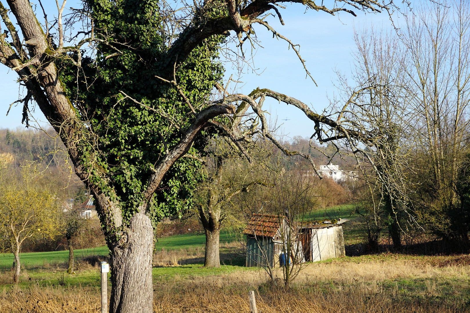 Predaj domu 162 m², pozemek 932 m², Bruchsal, Bádensko-Wurttembersko Predaj domu 162 m², pozemek 932 m², Bruchsal, Bádensko-Wurttembersko