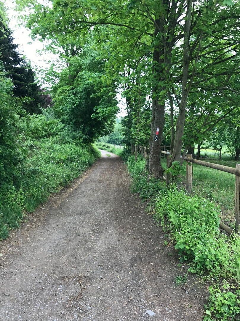 Prenájom bytu 2-izbový 62 m², Haan, Severné Porýnie - Westfálsko Prenájom bytu 2-izbový 62 m², Haan, Severné Porýnie - Westfálsko