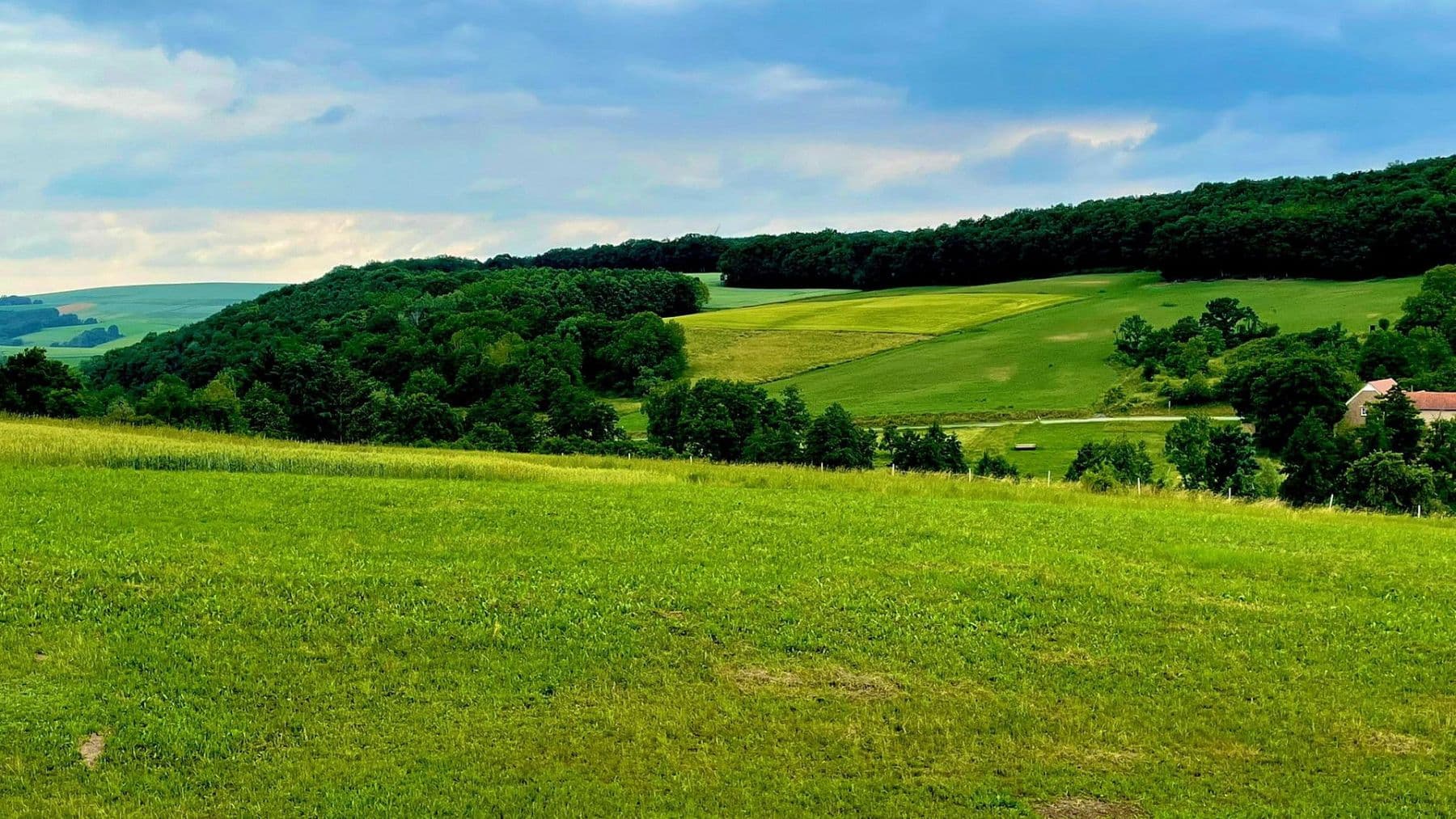 Predaj pozemku 561 m², Turnhallenstraße 6, Ransweiler, Porýnie-Falcko Predaj pozemku 561 m², Turnhallenstraße 6, Ransweiler, Porýnie-Falcko