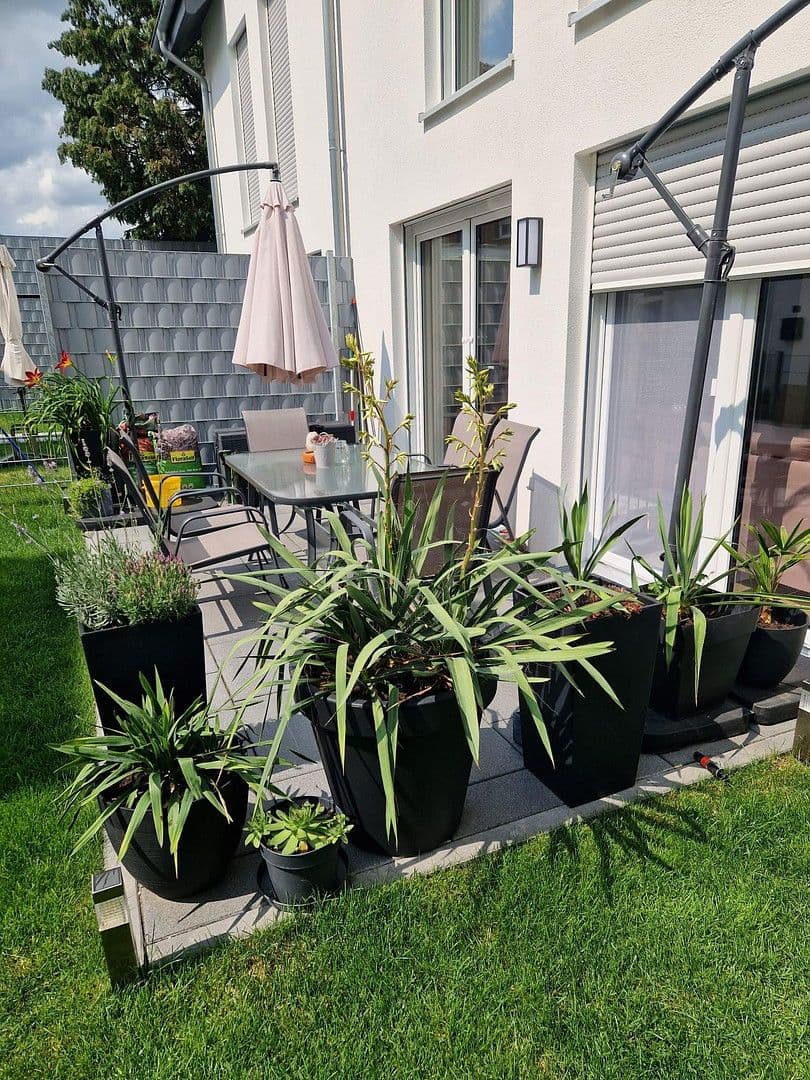 Prenájom domu 137 m², pozemek 249 m², Paderborn, Severné Porýnie - Westfálsko Prenájom domu 137 m², pozemek 249 m², Paderborn, Severné Porýnie - Westfálsko