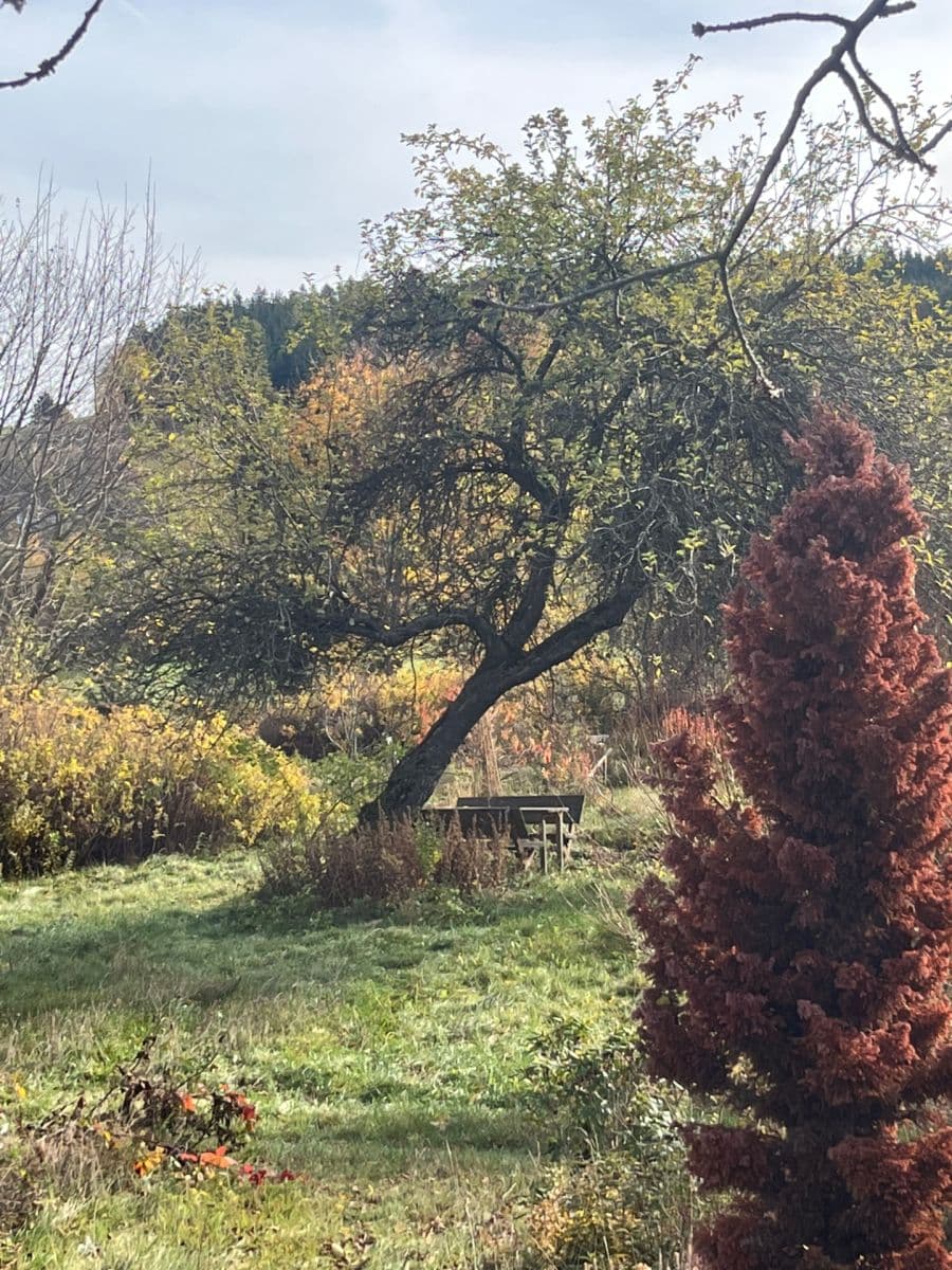 Predaj domu 104 m², pozemek 4.412 m², Strážov, Plzeňský kraj Predaj domu 104 m², pozemek 4.412 m², Strážov, Plzeňský kraj