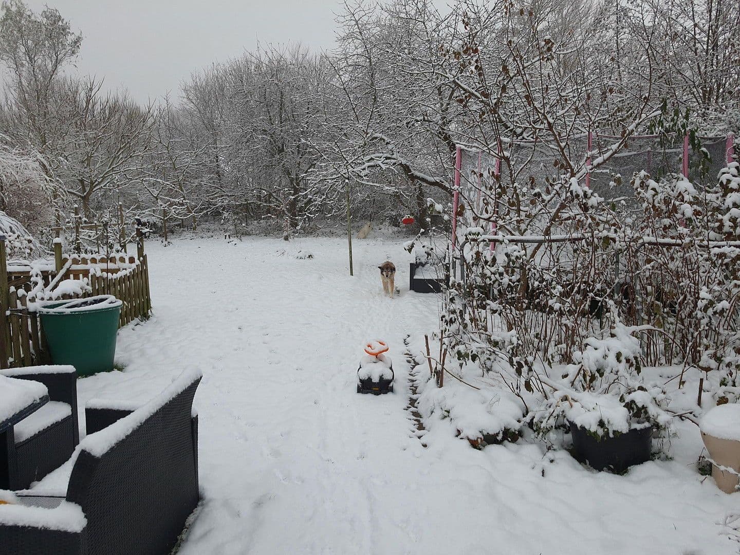 Predaj domu 140 m², pozemek 1.604 m², Wurster Nordseeküste, Dolné Sasko Predaj domu 140 m², pozemek 1.604 m², Wurster Nordseeküste, Dolné Sasko