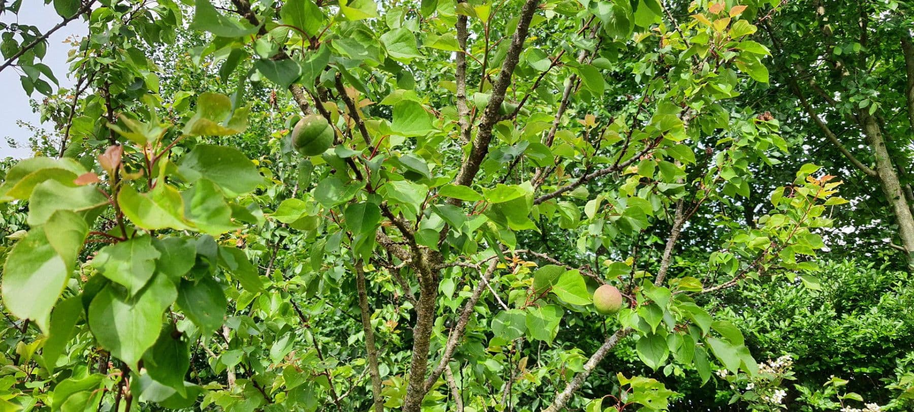 Predaj domu 140 m², pozemek 1.604 m², Wurster Nordseeküste, Dolné Sasko Predaj domu 140 m², pozemek 1.604 m², Wurster Nordseeküste, Dolné Sasko