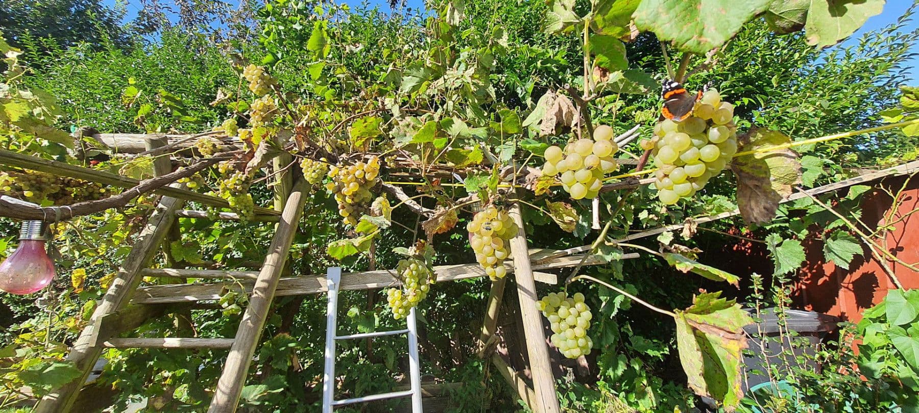 Predaj domu 140 m², pozemek 1.604 m², Wurster Nordseeküste, Dolné Sasko Predaj domu 140 m², pozemek 1.604 m², Wurster Nordseeküste, Dolné Sasko