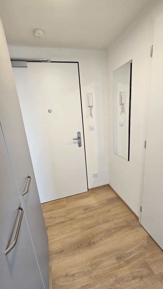 Prenájom bytu 1-izbový 33 m², Bratislavská, Brno, Jihomoravský kraj Prenájom bytu 1-izbový 33 m², Bratislavská, Brno, Jihomoravský kraj