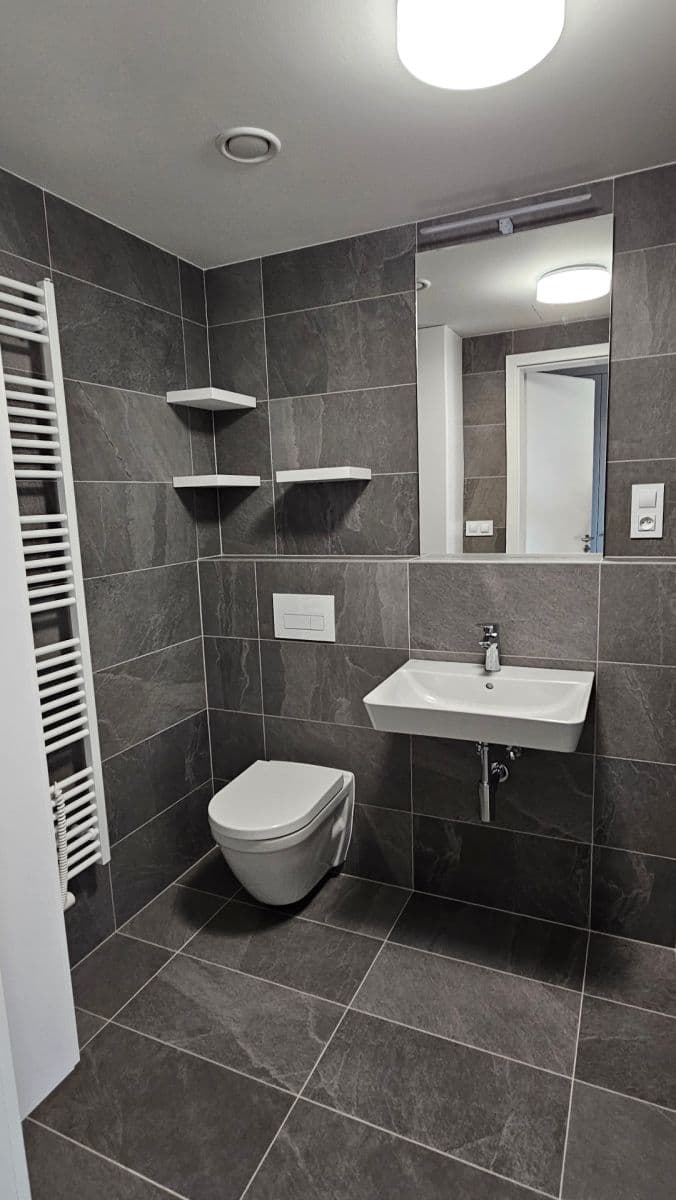 Prenájom bytu 1-izbový 33 m², Bratislavská, Brno, Jihomoravský kraj Prenájom bytu 1-izbový 33 m², Bratislavská, Brno, Jihomoravský kraj