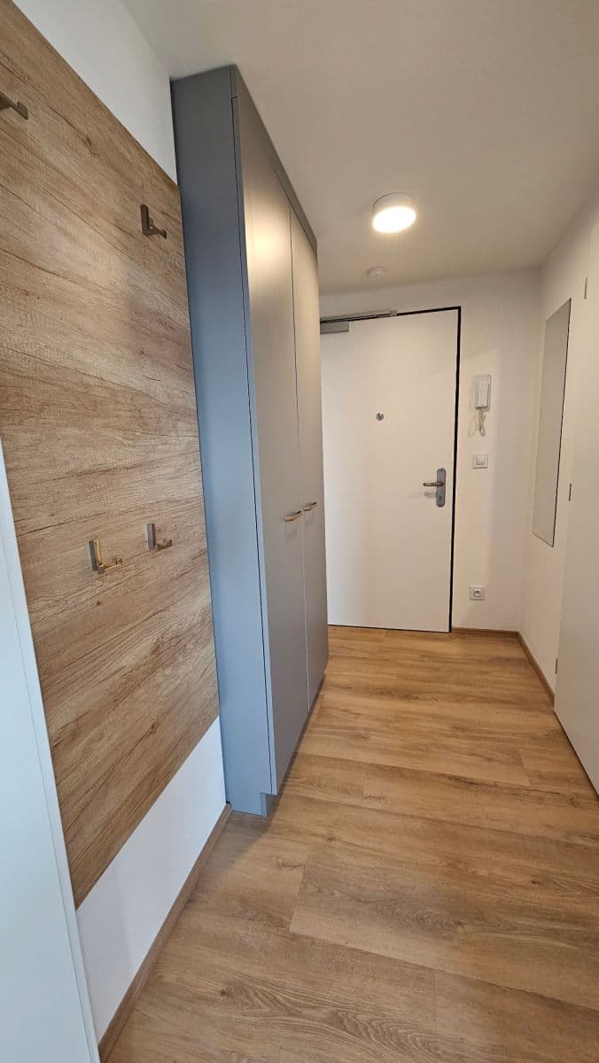 Prenájom bytu 1-izbový 33 m², Bratislavská, Brno, Jihomoravský kraj Prenájom bytu 1-izbový 33 m², Bratislavská, Brno, Jihomoravský kraj