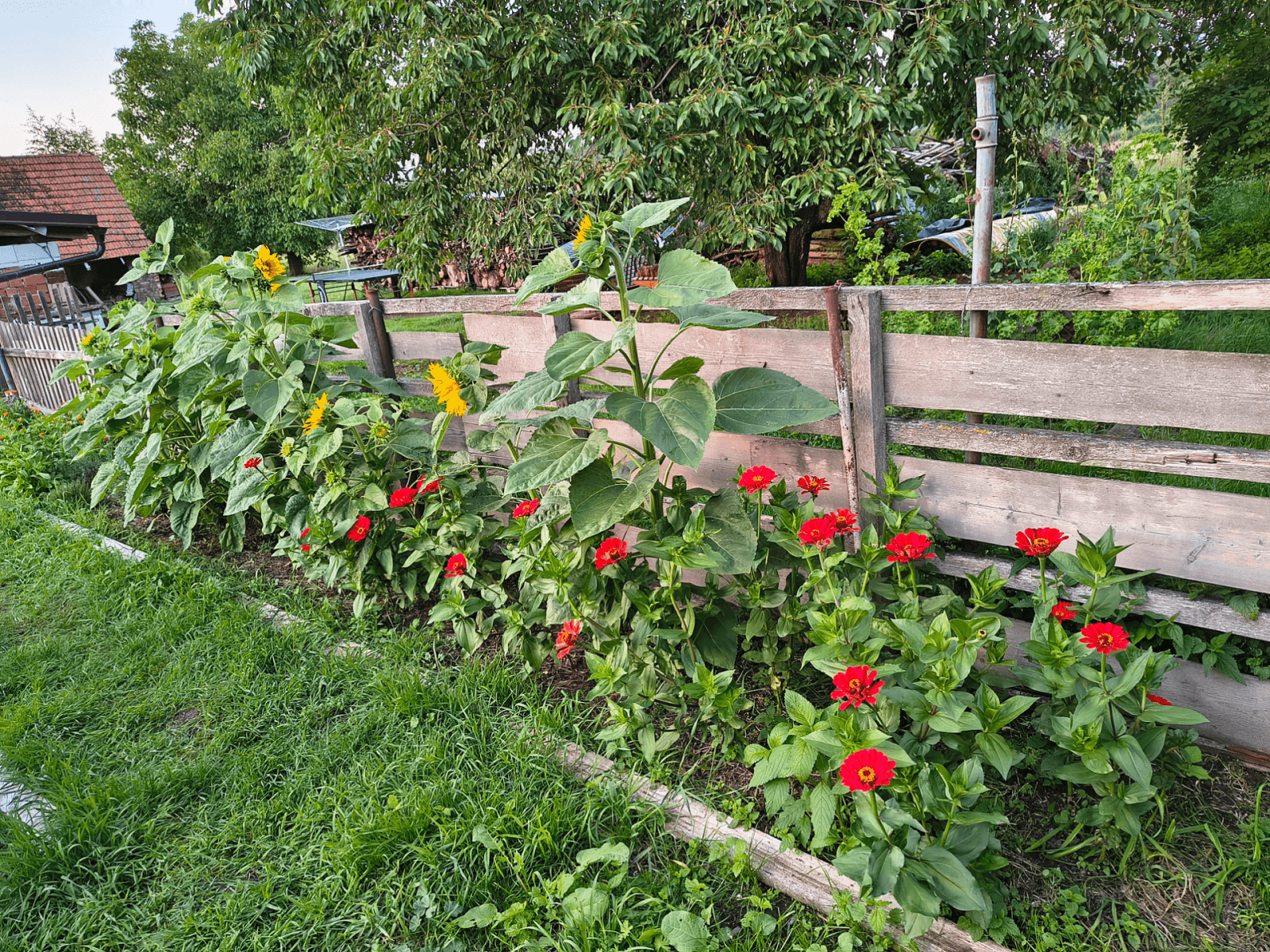 Predaj domu 258 m², pozemek 5.664 m², Chlístovice, Středočeský kraj Predaj domu 258 m², pozemek 5.664 m², Chlístovice, Středočeský kraj