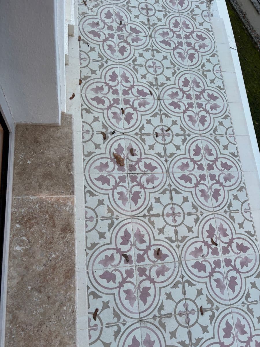 Predaj bytu 3-izbový 100 m², Dobřanská, Chotěšov, Plzeňský kraj Predaj bytu 3-izbový 100 m², Dobřanská, Chotěšov, Plzeňský kraj