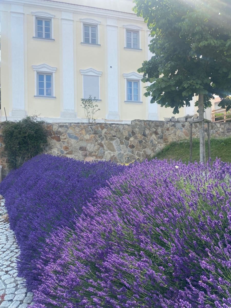 Predaj bytu 3-izbový 100 m², Dobřanská, Chotěšov, Plzeňský kraj Predaj bytu 3-izbový 100 m², Dobřanská, Chotěšov, Plzeňský kraj