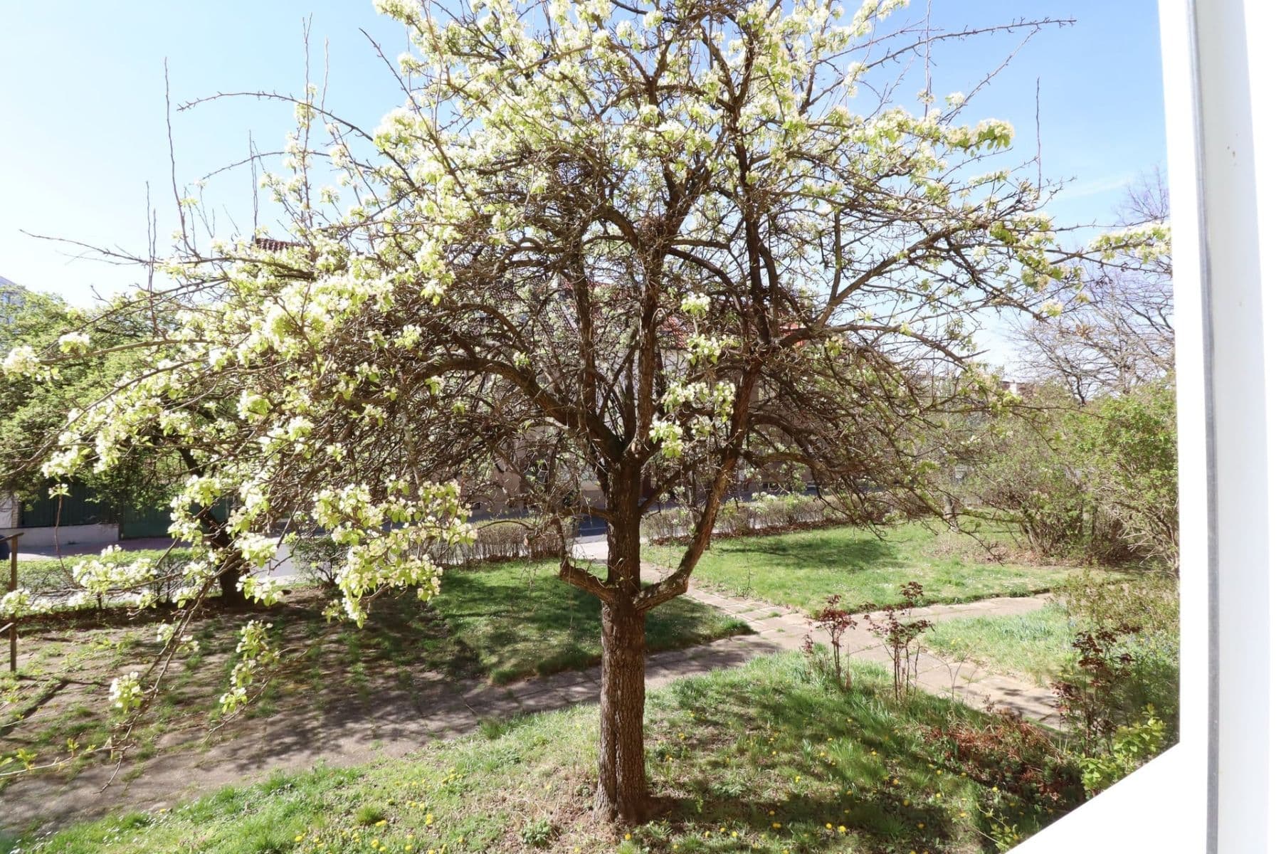 Prenájom bytu 2-izbový 52 m², Jabloňová, Praha, Praha Prenájom bytu 2-izbový 52 m², Jabloňová, Praha, Praha