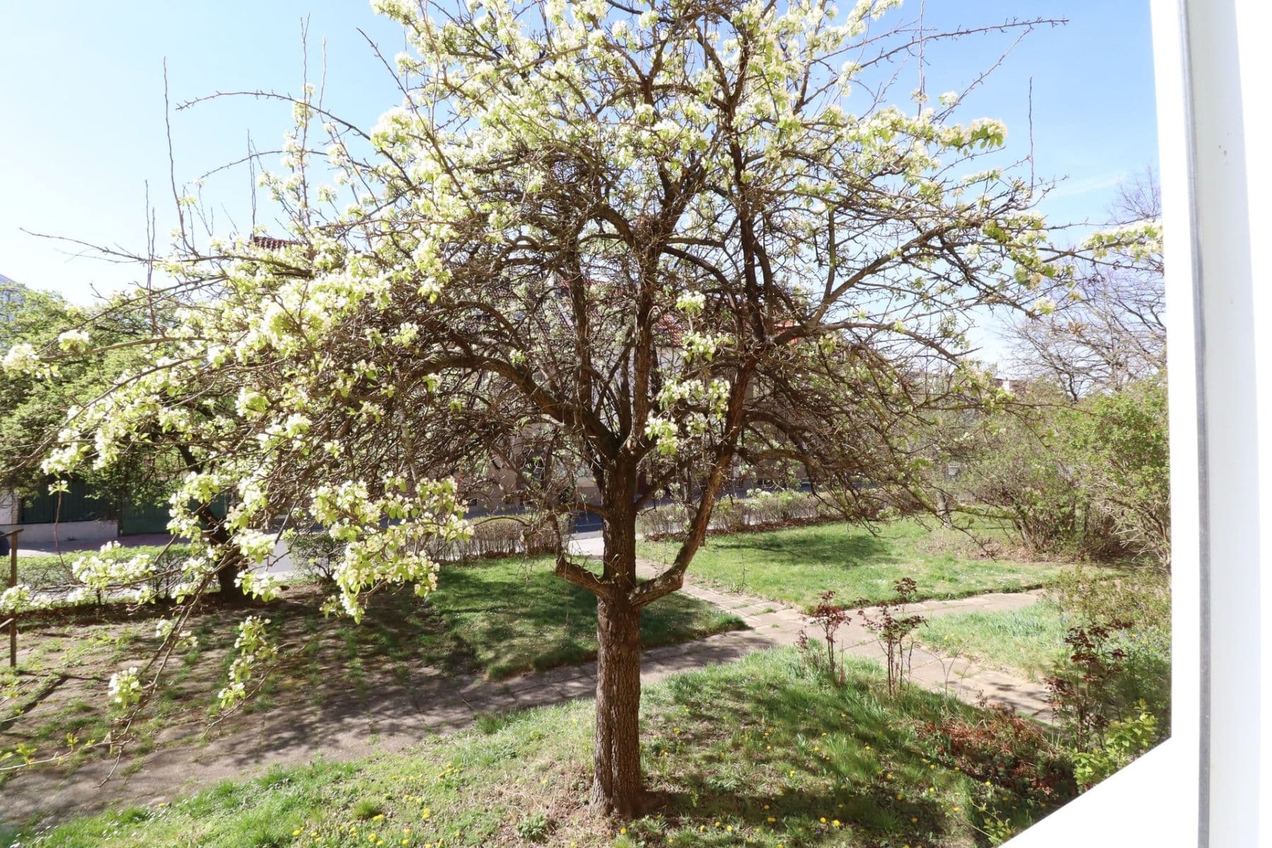 Prenájom bytu 2-izbový 52 m², Jabloňová, Praha, Praha Prenájom bytu 2-izbový 52 m², Jabloňová, Praha, Praha