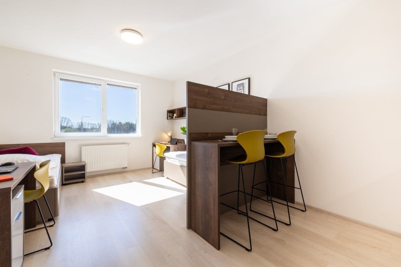 Prenájom bytu 1-izbový 27 m², Magisterská, Plzeň, Plzeňský kraj Prenájom bytu 1-izbový 27 m², Magisterská, Plzeň, Plzeňský kraj
