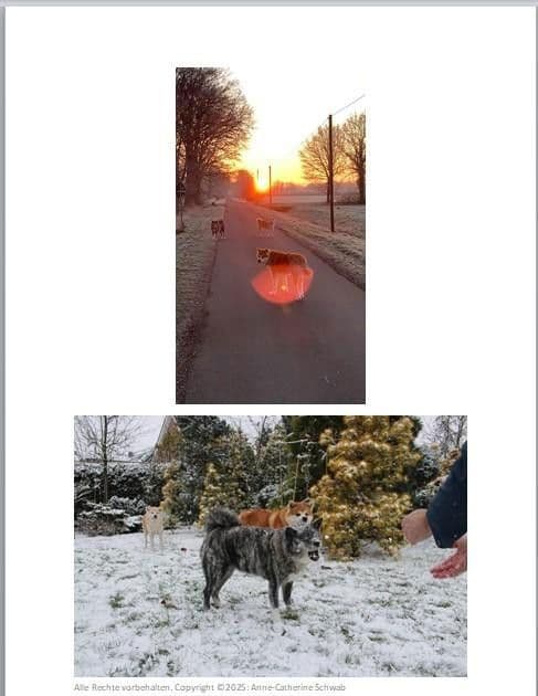 Predaj domu 301 m², pozemek 1.178 m², Ennigerloh, Severné Porýnie - Westfálsko Predaj domu 301 m², pozemek 1.178 m², Ennigerloh, Severné Porýnie - Westfálsko