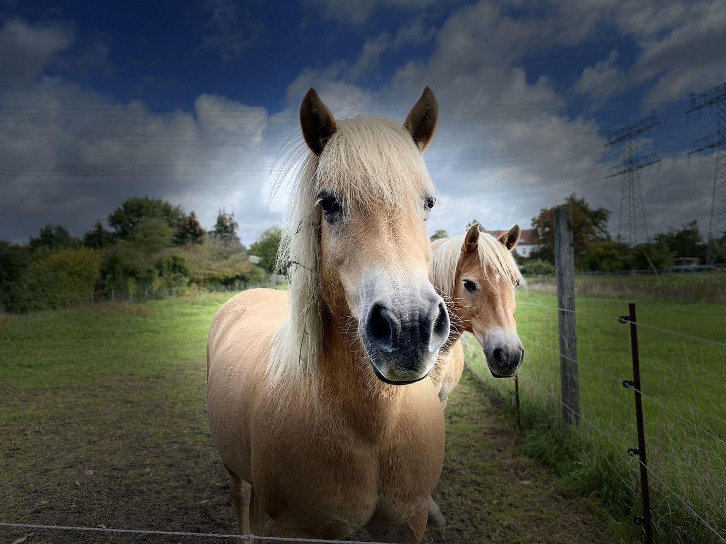 Prenájom domu 87 m², pozemek 200 m², Berlin, Berlín Prenájom domu 87 m², pozemek 200 m², Berlin, Berlín