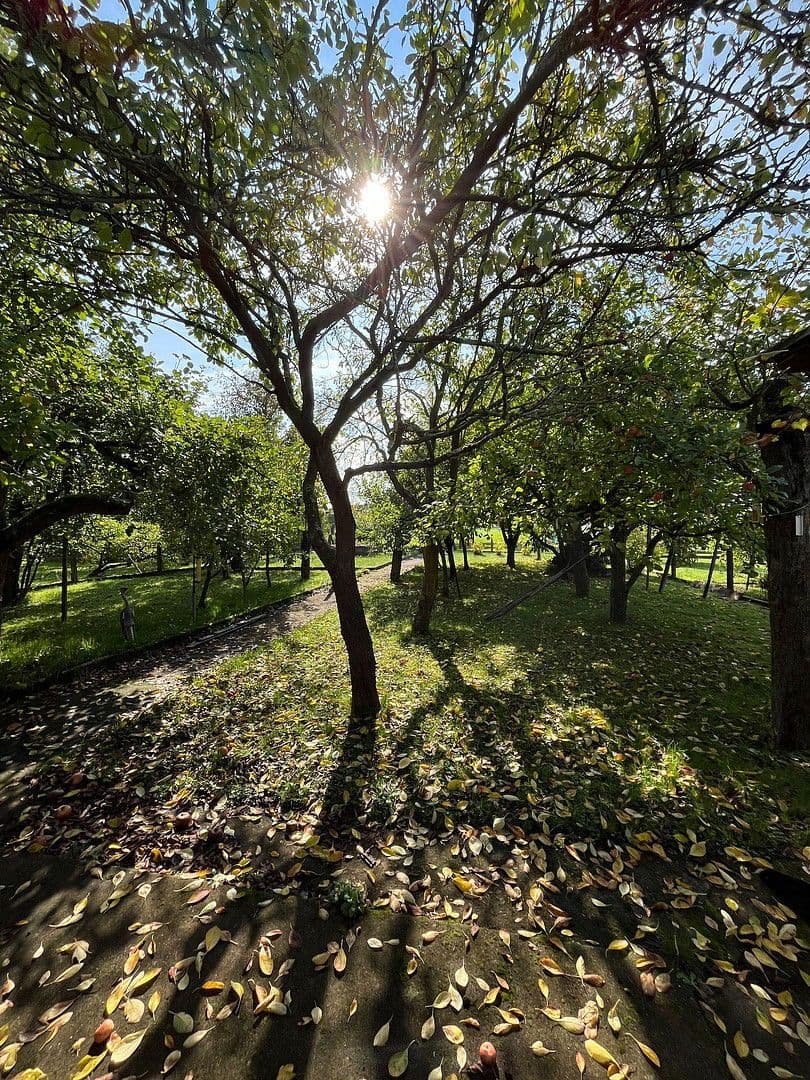 Predaj domu 119 m², pozemek 920 m², Kirchhain, Hesensko Predaj domu 119 m², pozemek 920 m², Kirchhain, Hesensko