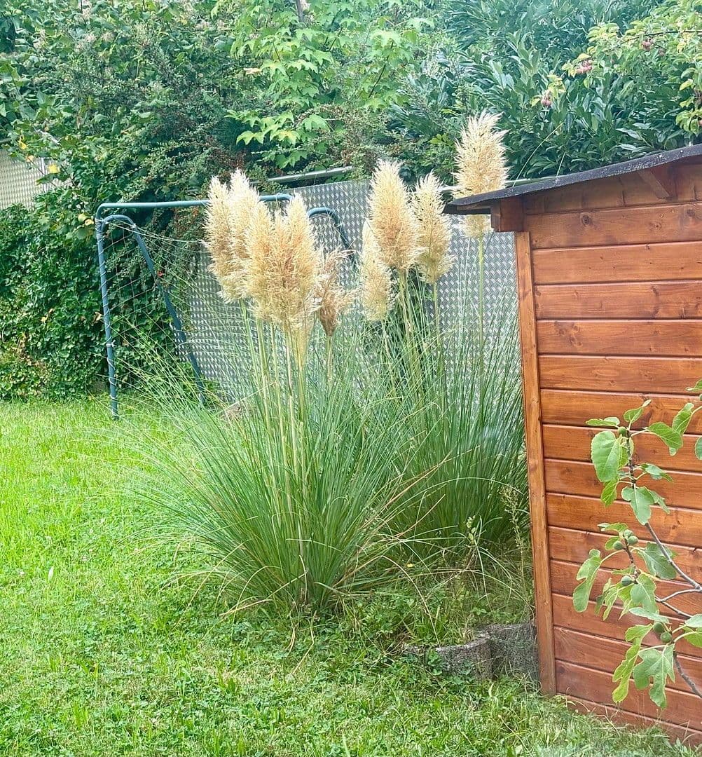 Predaj domu 142 m², pozemek 685 m², Hermann-Hesse-Straße 11, Linkenheim-Hochstetten, Bádensko-Wurttembersko Predaj domu 142 m², pozemek 685 m², Hermann-Hesse-Straße 11, Linkenheim-Hochstetten, Bádensko-Wurttembersko