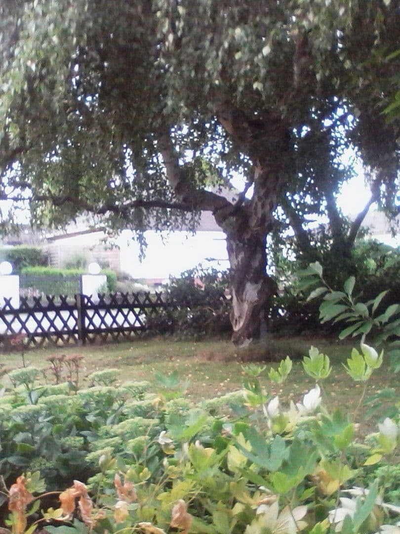 Predaj domu 140 m², pozemek 814 m², Bremerhaven, Brémy Predaj domu 140 m², pozemek 814 m², Bremerhaven, Brémy