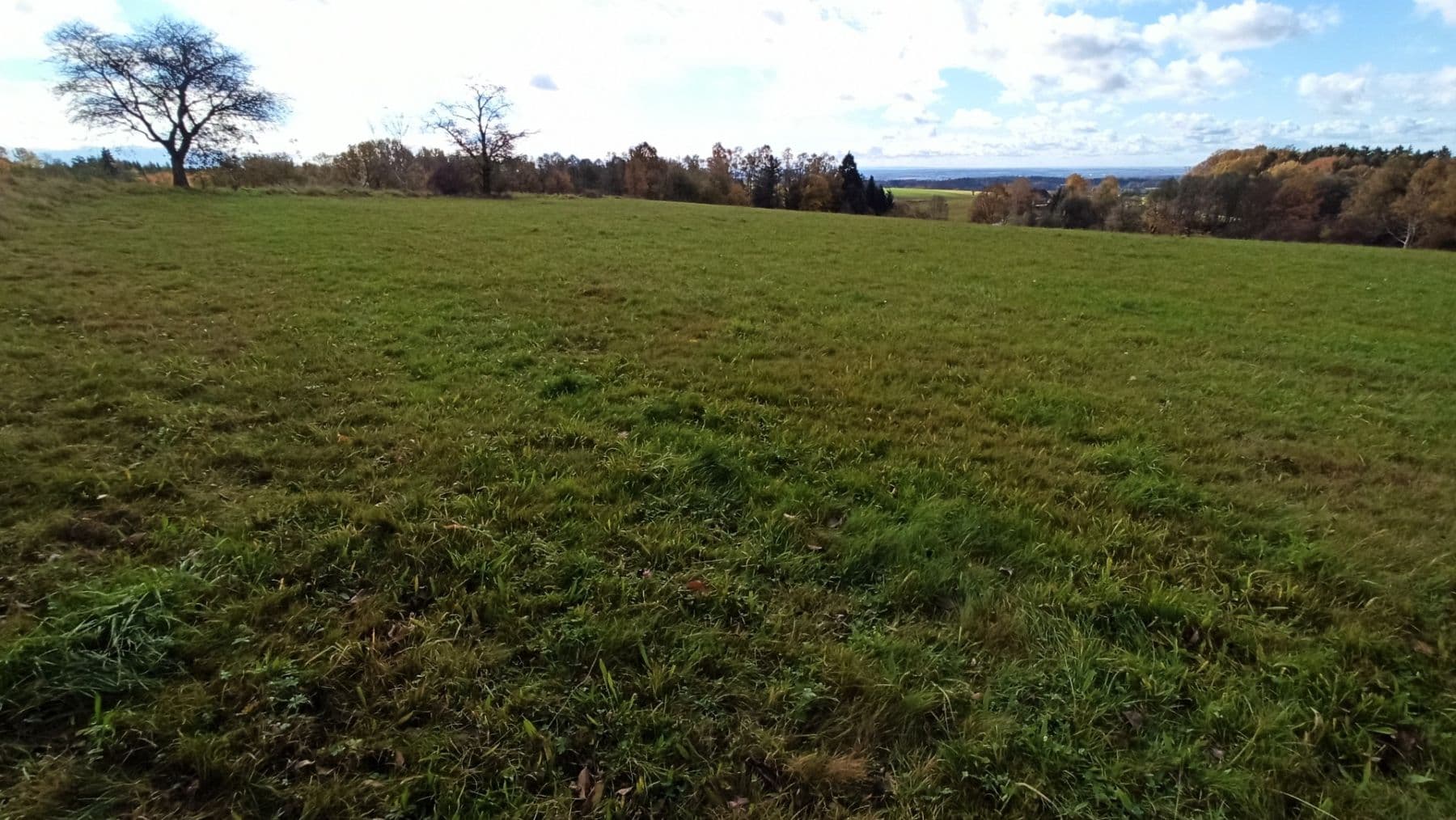 Predaj pozemku 29.562 m², Mezilesí, Královéhradecký kraj Predaj pozemku 29.562 m², Mezilesí, Královéhradecký kraj