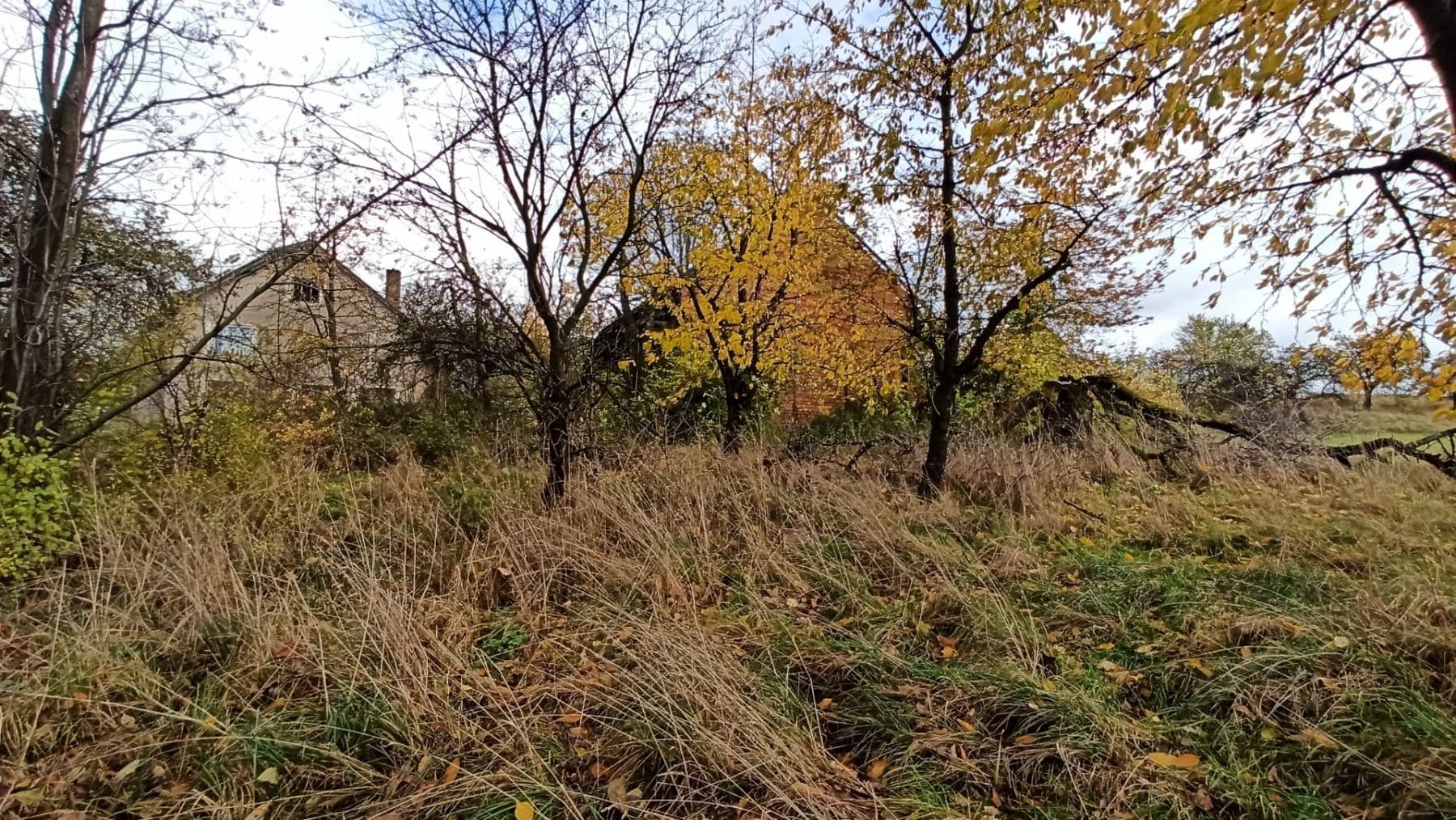 Predaj pozemku 29.562 m², Mezilesí, Královéhradecký kraj Predaj pozemku 29.562 m², Mezilesí, Královéhradecký kraj