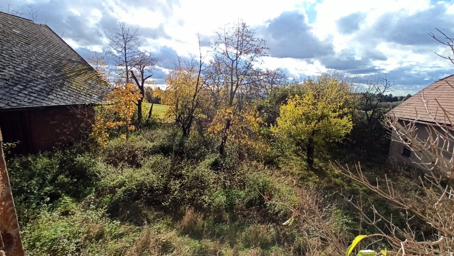 Predaj pozemku 29.562 m², Mezilesí, Královéhradecký kraj Predaj pozemku 29.562 m², Mezilesí, Královéhradecký kraj