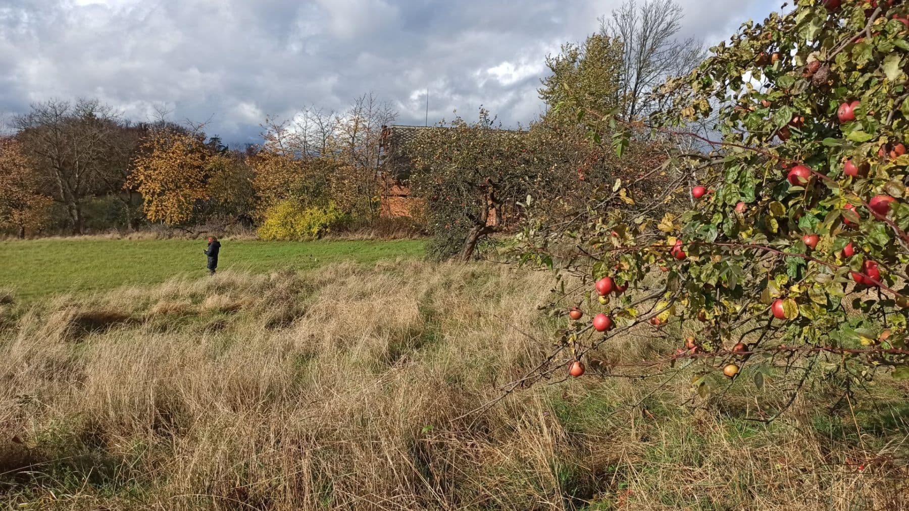 Predaj pozemku 29.562 m², Mezilesí, Královéhradecký kraj Predaj pozemku 29.562 m², Mezilesí, Královéhradecký kraj