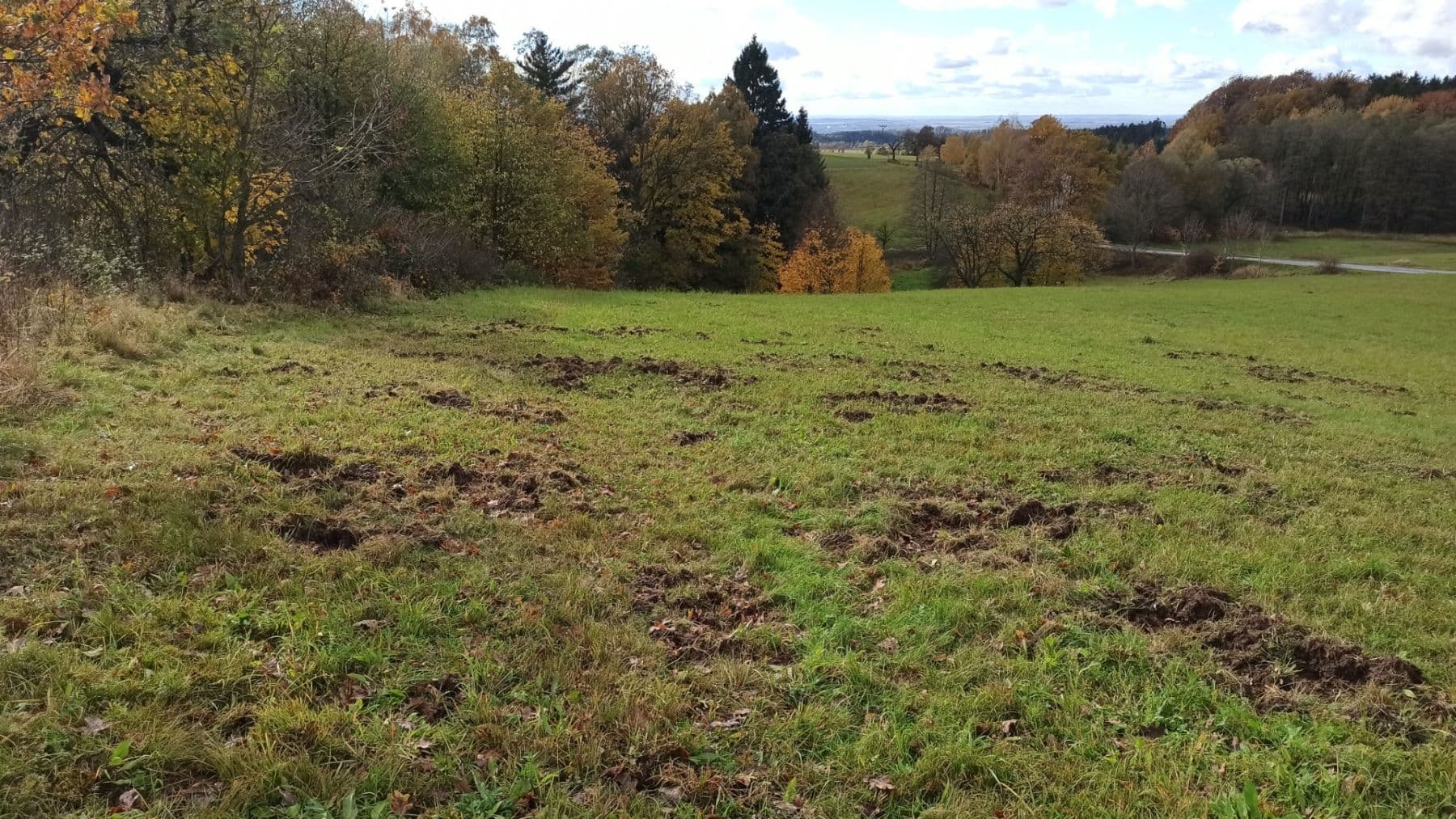 Predaj pozemku 29.562 m², Mezilesí, Královéhradecký kraj Predaj pozemku 29.562 m², Mezilesí, Královéhradecký kraj