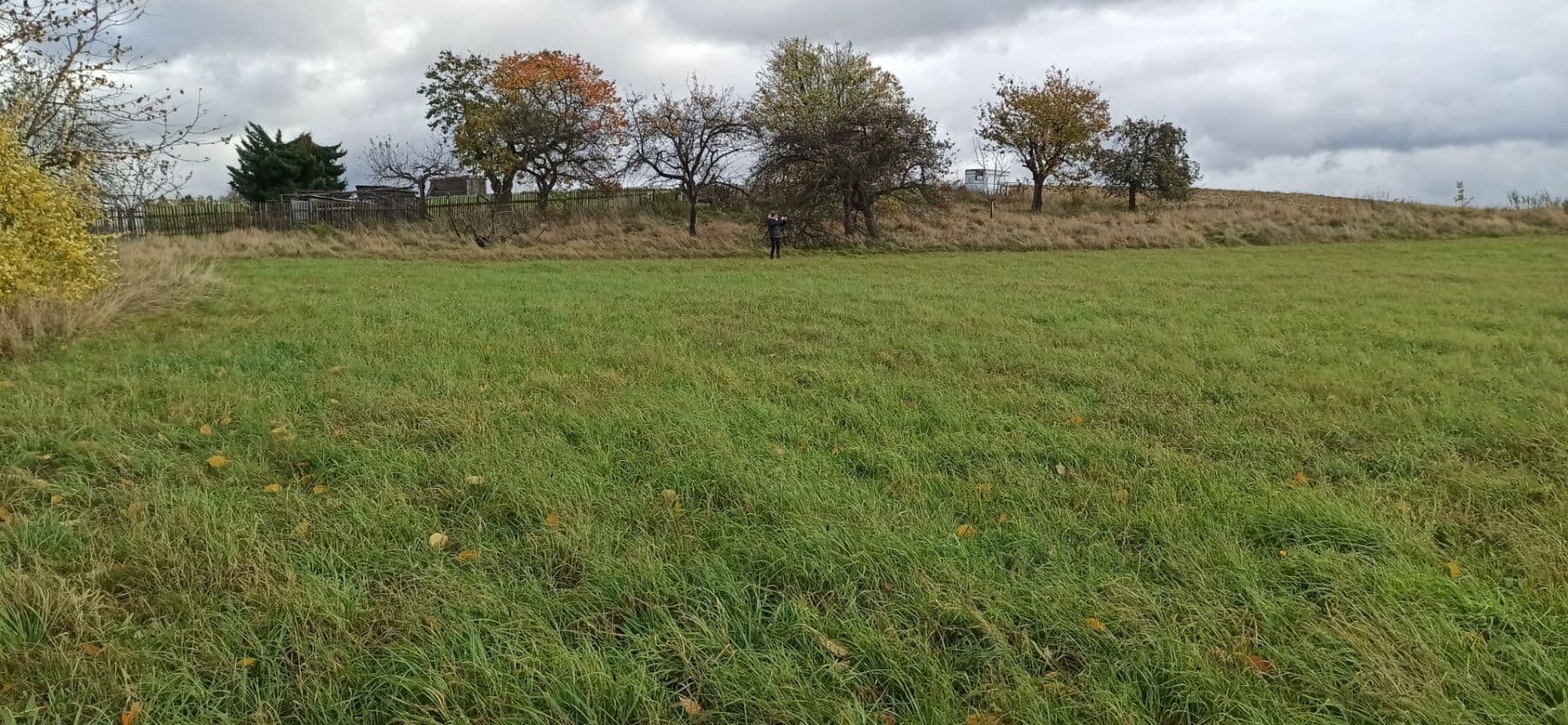 Predaj pozemku 29.562 m², Mezilesí, Královéhradecký kraj Predaj pozemku 29.562 m², Mezilesí, Královéhradecký kraj