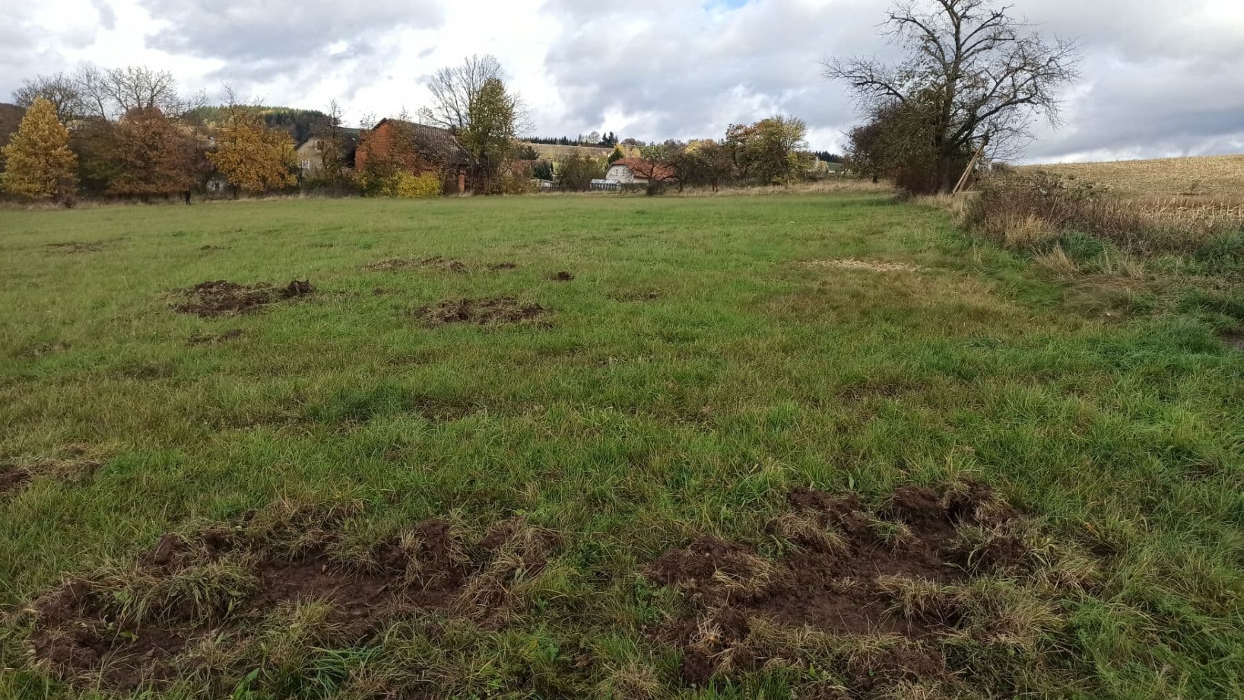 Predaj pozemku 29.562 m², Mezilesí, Královéhradecký kraj Predaj pozemku 29.562 m², Mezilesí, Královéhradecký kraj