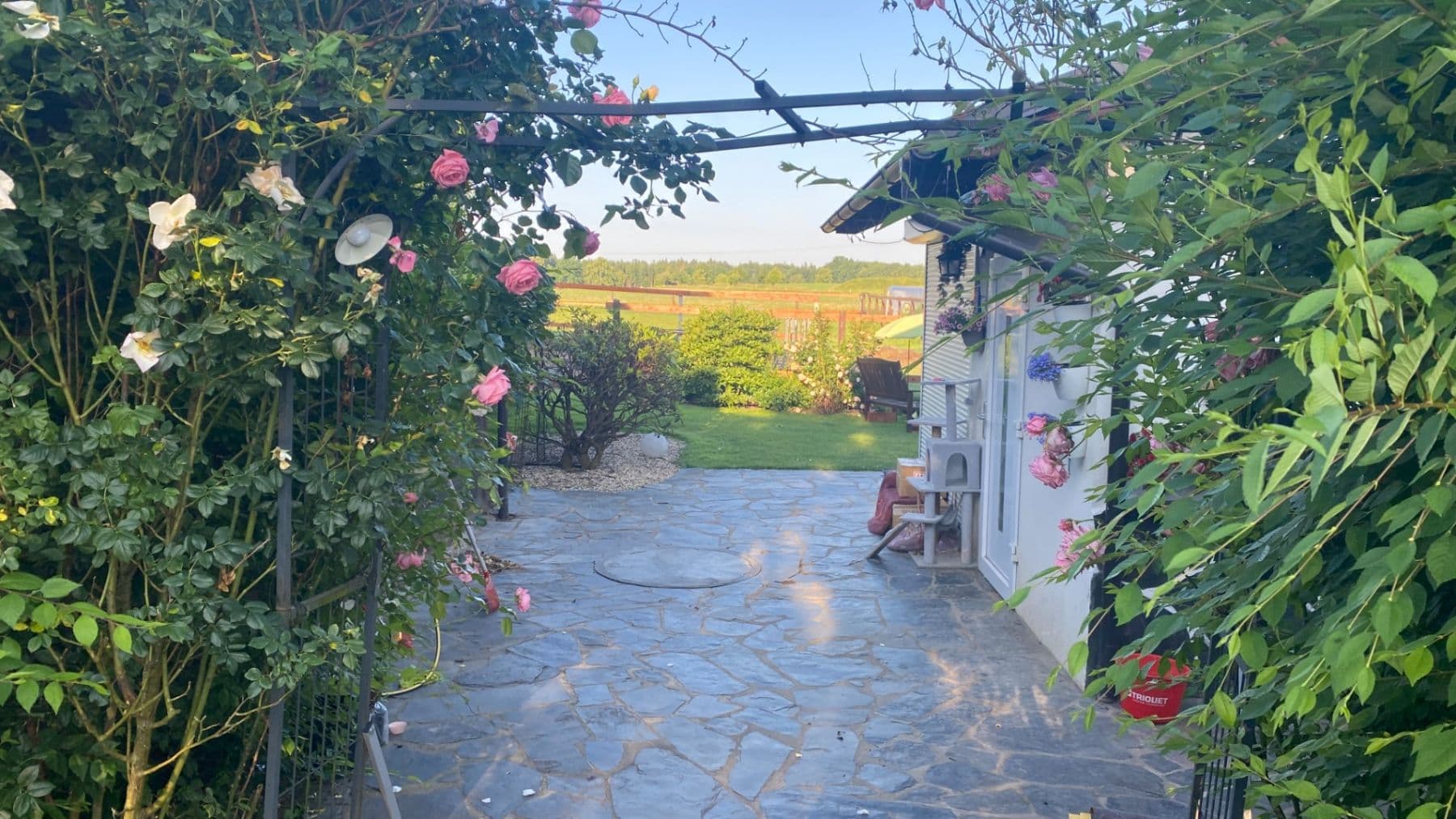 Predaj domu 1.577 m², pozemek 27.215 m², Pluhův Žďár, Jihočeský kraj Predaj domu 1.577 m², pozemek 27.215 m², Pluhův Žďár, Jihočeský kraj