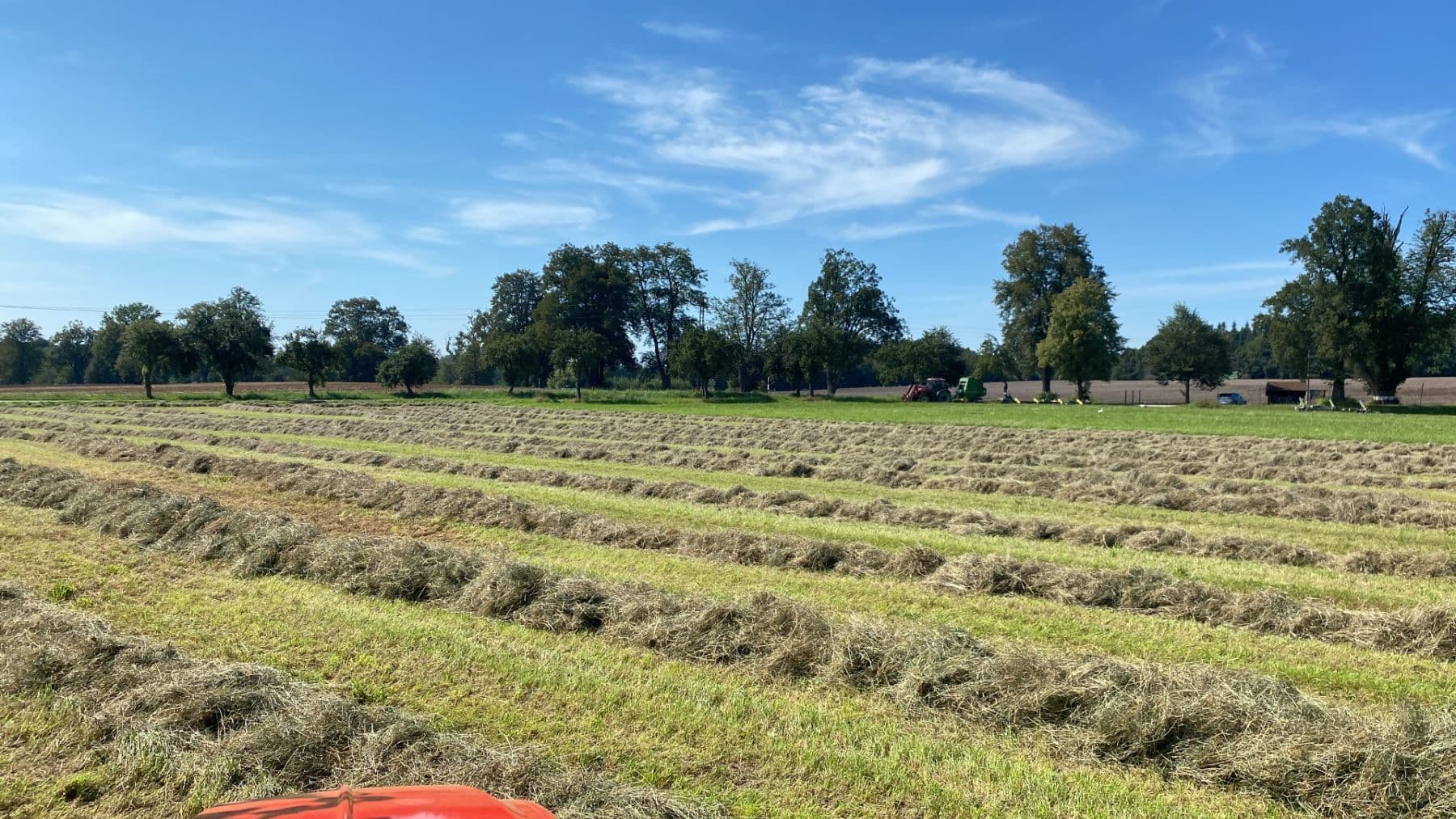 Predaj domu 1.577 m², pozemek 27.215 m², Pluhův Žďár, Jihočeský kraj Predaj domu 1.577 m², pozemek 27.215 m², Pluhův Žďár, Jihočeský kraj