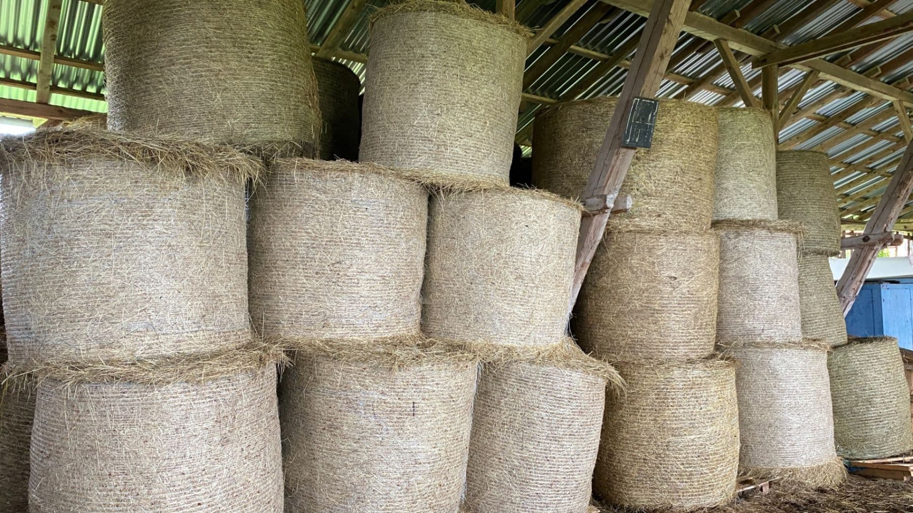 Predaj domu 1.577 m², pozemek 27.215 m², Pluhův Žďár, Jihočeský kraj Predaj domu 1.577 m², pozemek 27.215 m², Pluhův Žďár, Jihočeský kraj