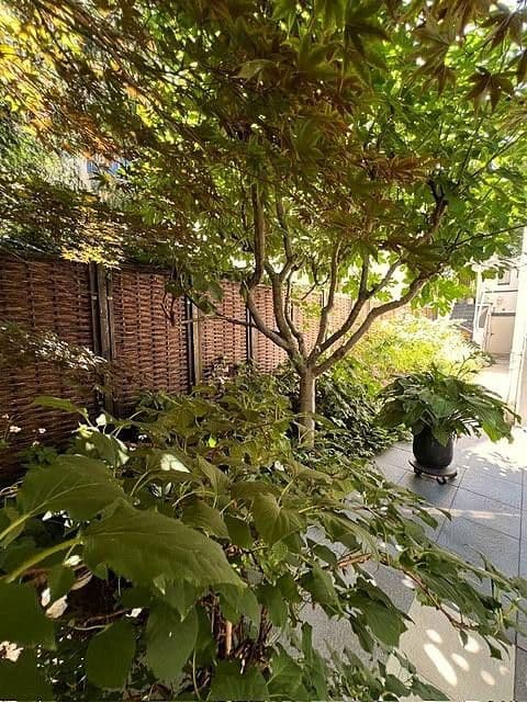 Predaj bytu 4-izbový 114 m², Frankfurt, Hesensko Predaj bytu 4-izbový 114 m², Frankfurt, Hesensko