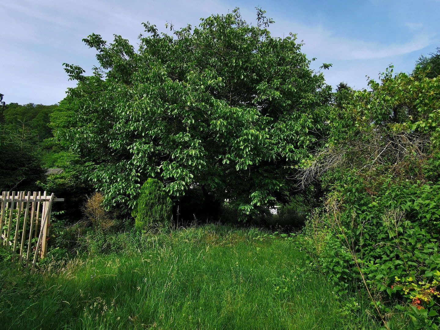 Predaj domu 220 m², pozemek 1.038 m², Blieskastel, Sársko Predaj domu 220 m², pozemek 1.038 m², Blieskastel, Sársko