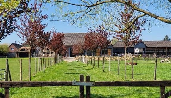 Predaj domu 450 m², pozemek 32.000 m², Niederkrüchten, Severné Porýnie - Westfálsko Predaj domu 450 m², pozemek 32.000 m², Niederkrüchten, Severné Porýnie - Westfálsko