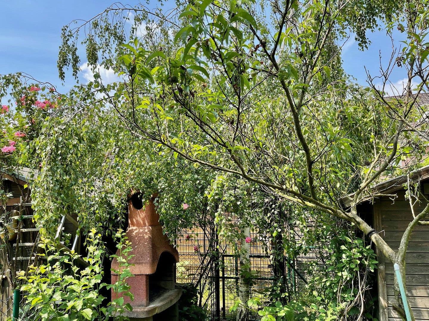 Prenájom domu 145 m², pozemek 370 m², Franz-Raveaux-Straße 32, Köln, Severné Porýnie - Westfálsko Prenájom domu 145 m², pozemek 370 m², Franz-Raveaux-Straße 32, Köln, Severné Porýnie - Westfálsko