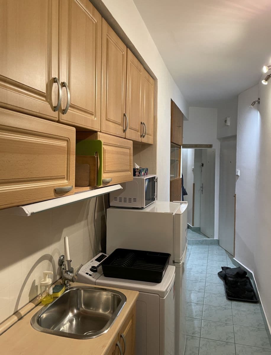 Prenájom bytu 1-izbový 27 m², Renneská třída, Brno, Jihomoravský kraj Prenájom bytu 1-izbový 27 m², Renneská třída, Brno, Jihomoravský kraj