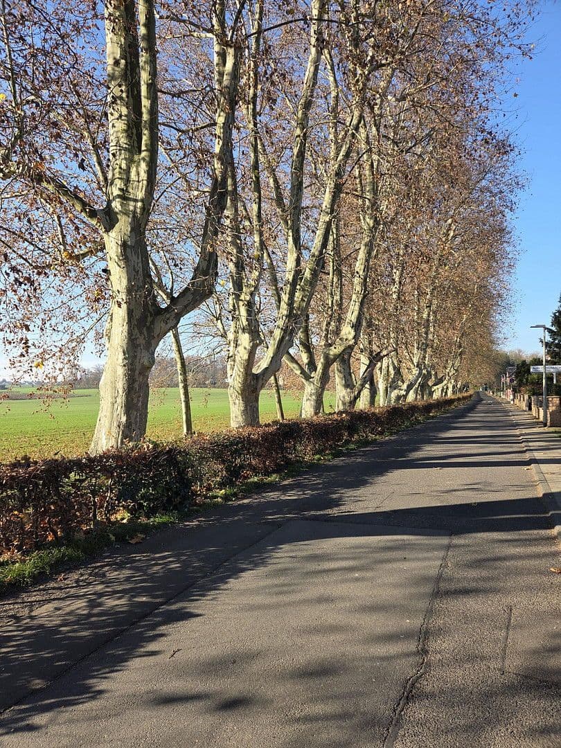 Predaj bytu 2-izbový 72 m², Flörsheim, Hesensko Predaj bytu 2-izbový 72 m², Flörsheim, Hesensko